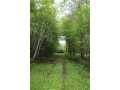Neillsville Land Real Estate