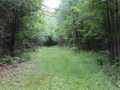 Neillsville Land Real Estate