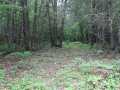 Neillsville Land Real Estate