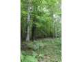 Neillsville Land Real Estate
