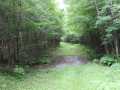 Neillsville Land Real Estate