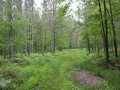 Neillsville Land Real Estate