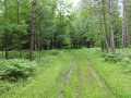 Neillsville Land Real Estate