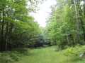 Neillsville Land Real Estate