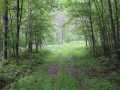 Neillsville Land Real Estate