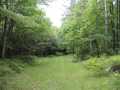 Neillsville Land Real Estate