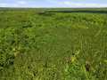 Neillsville Land Real Estate