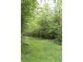 Neillsville Land Real Estate