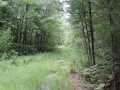 Neillsville Land Real Estate