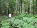 Neillsville Land Real Estate