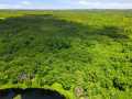 Neillsville Land Real Estate