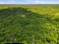 Neillsville Land Real Estate
