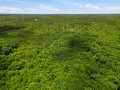 Neillsville Land Real Estate