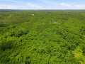 Neillsville Land Real Estate