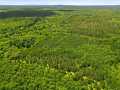 Neillsville Land Real Estate