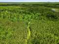 Neillsville Land Real Estate
