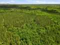 Neillsville Land Real Estate