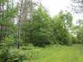 Neillsville Land Real Estate