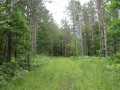 Neillsville Land Real Estate