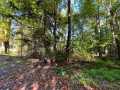 Stone Lake Land Real Estate