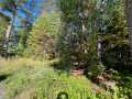 Stone Lake Land Real Estate