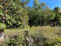 Stone Lake Land Real Estate