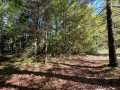 Stone Lake Land Real Estate