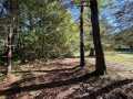 Stone Lake Land Real Estate