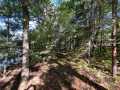 Stone Lake Land Real Estate