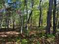 Stone Lake Land Real Estate