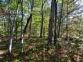 Stone Lake Land Real Estate