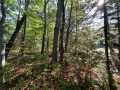 Stone Lake Land Real Estate