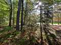 Stone Lake Land Real Estate