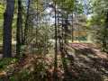Stone Lake Land Real Estate