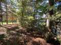 Stone Lake Land Real Estate