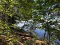 Stone Lake Land Real Estate