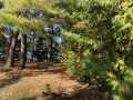 Stone Lake Land Real Estate