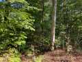 Stone Lake Land Real Estate