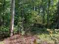 Stone Lake Land Real Estate