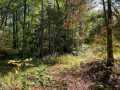 Stone Lake Land Real Estate