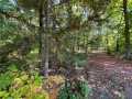 Stone Lake Land Real Estate
