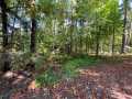 Stone Lake Land Real Estate