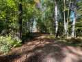 Stone Lake Land Real Estate