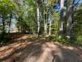 Stone Lake Land Real Estate