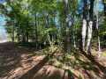 Stone Lake Land Real Estate