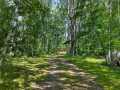 Trego Residential Real Estate