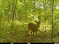 Eau Claire Land Real Estate