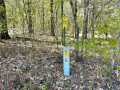 Eau Claire Land Real Estate