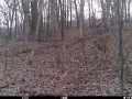 Eau Claire Land Real Estate