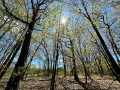 Eau Claire Land Real Estate